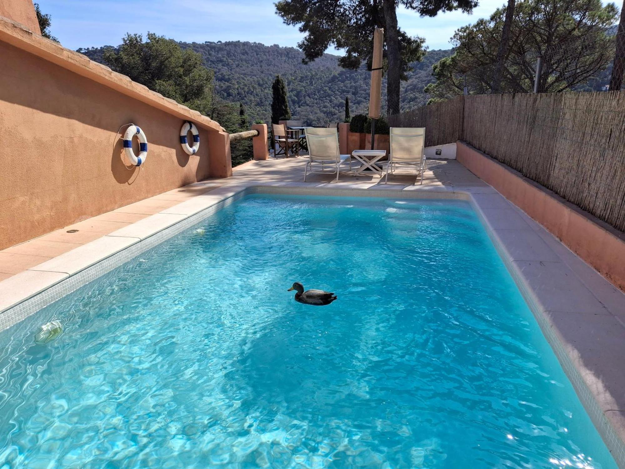 B&B Mar Y Montana Privado No Cocina Orrius Luaran gambar